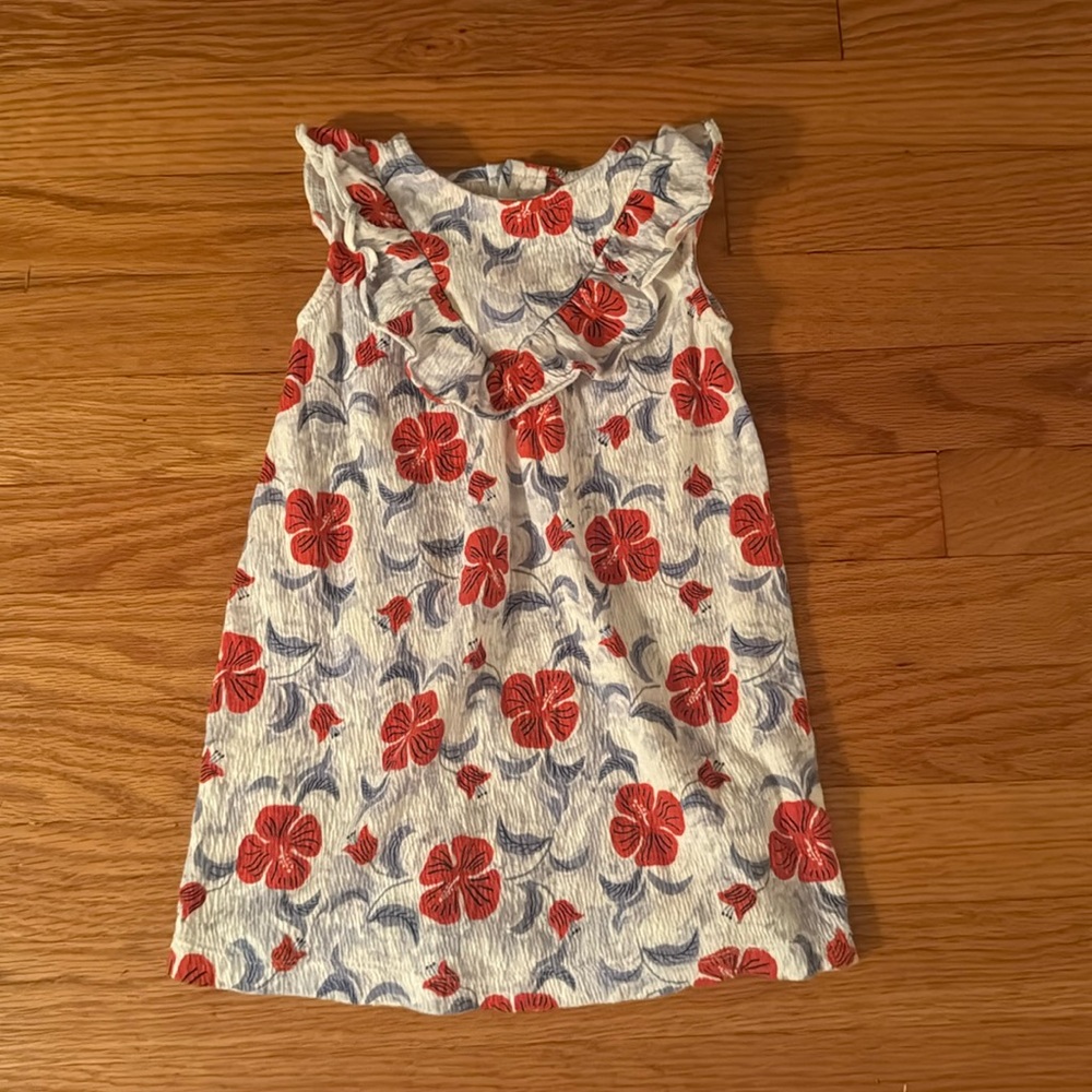 Red floral tank dress with blue leaves